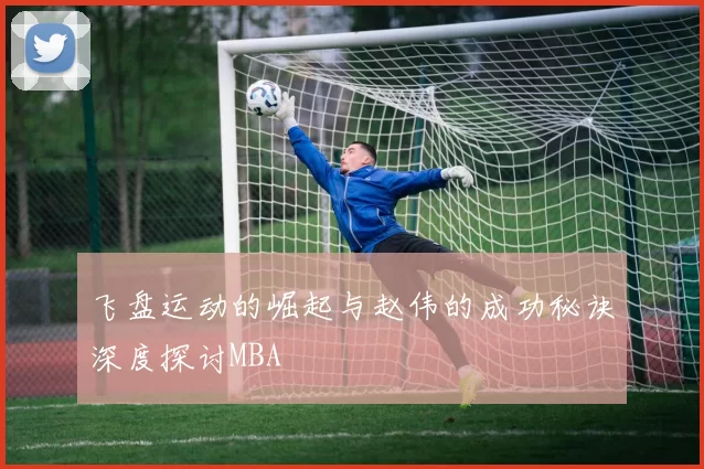 飞盘运动的崛起与赵伟的成功秘诀深度探讨MBA