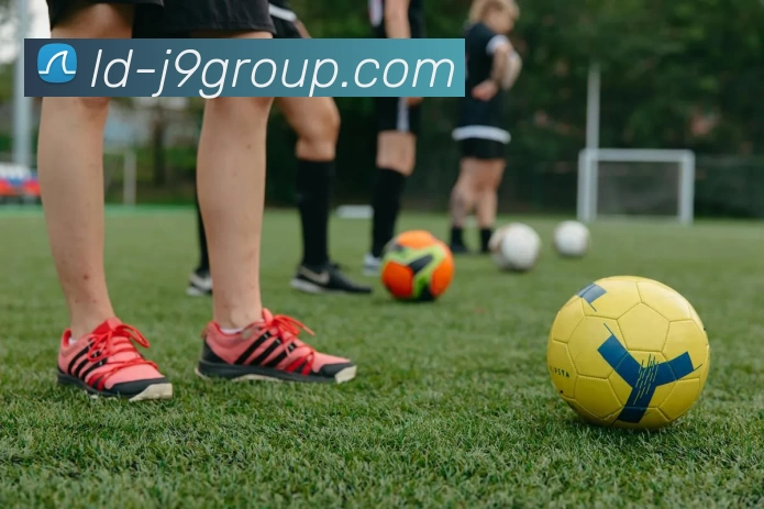 J9集团平台APP 封面图